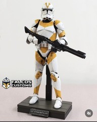 Star Wars Custom 3d Printed and Painted 1/6 Scale 212th Clone Trooper Figure