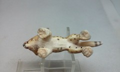 Schleich Cheetah Cub 2 1/4″ Cat 14327 Wildlife Safari Animal Figure Germany 2003