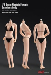 US 1:6 Pale Skin Large Bust Breast 12″ Female Seamless Flexible Figure Body Toys