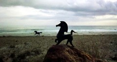 Black Stallion Bucephalus – Exclusive, Collectible, Classic – Bronze