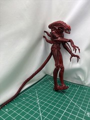 Aliens Genocide Xenomorph Alien Warrior Red Series 5 NECA Action Figure