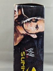 WWE Shop Exclusive Summer Slam Classic Superstars Matt Hardy Jeff Hardy Figures