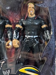 WWE Shop Exclusive Summer Slam Classic Superstars Matt Hardy Jeff Hardy Figures