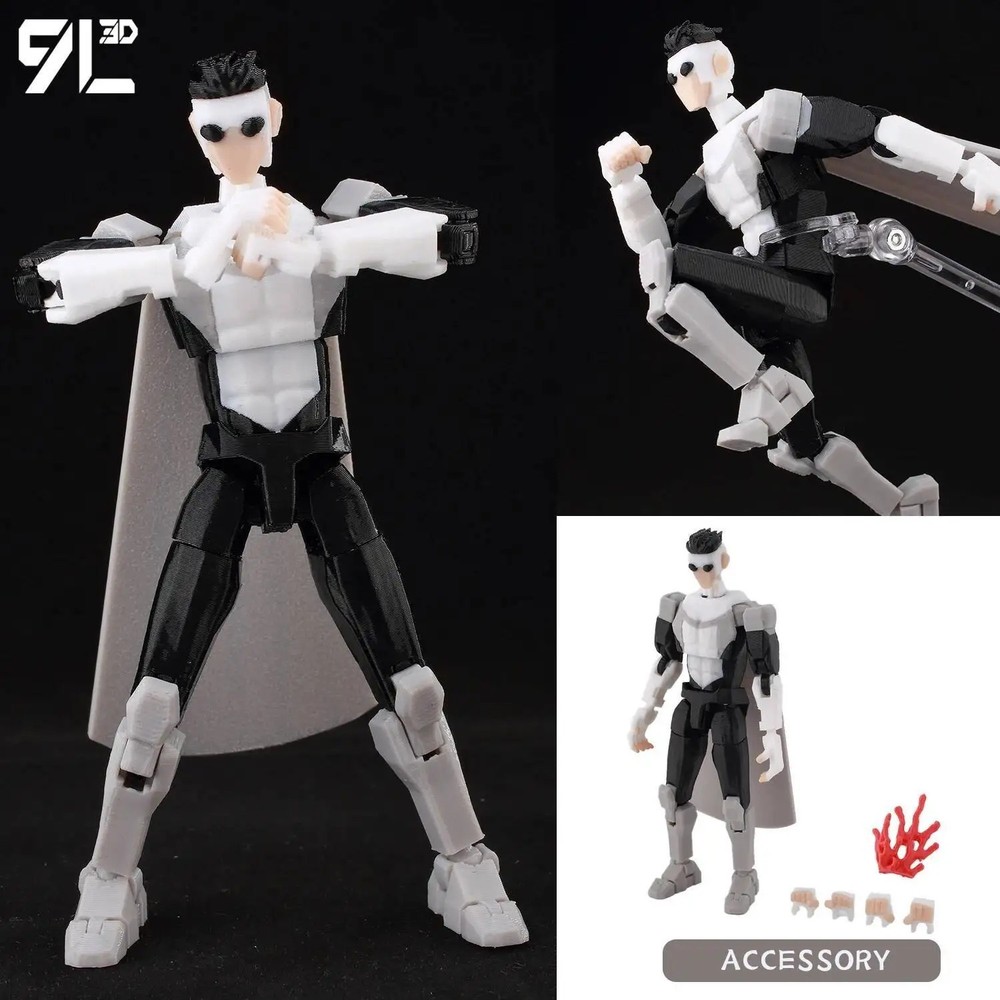 9L3D Lucky 13 Invincible Boy Conquer 3D Printed Anime Action Figure Collectible