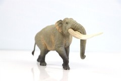 TNG Huanghe Flumen Stegodon Model Elephant Animal Figure Toys Decor Xmas Gift