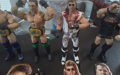 WWE Mattel Legends Series #17 Shamrock w/Chase HBK AJ Styles Ultimate Warrior