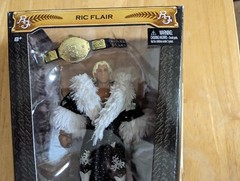 WWE MATTEL ELITE DEFINING MOMENTS RIC FLAIR BUTTERFLY ROBE 2015 *REPACK*