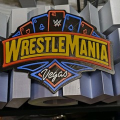 WWE Mattel WrestleMania 41 2025 Logo Accessory
