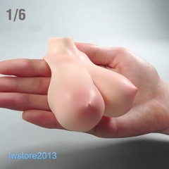 1:6 Pale Skin Normal Breast Bust Cover Model F 12” Female TBL PH Figure Body