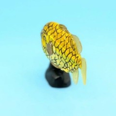 Kaiyodo Japanese Chocolate Egg Animal Encyclopedia Fish Figure Collectible Used