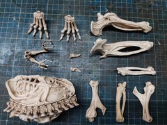 Extraterestrial Queen Skeletal 1/12 size “NECA Size”
