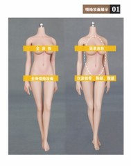 LDDOLL 1/6 Female 29L Seamless Silicone 12″ Figure Body+ Finger Bone For KT Head