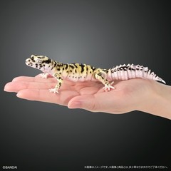 PSL The Diversity of Life on Earth Advance Selected Edition 02 Gecko Bandai