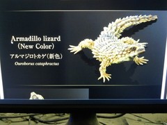 Living Creatures Great Encyclopedia Advance SELECTED EDITION 02 (New Color Armad