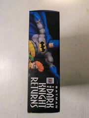 MAFEX No. 139 Batman Blue Ver & Robin (The Dark Knight Returns) Medicom Toy New