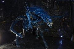 NECA Aliens: Xenomorph Alien Queen Deluxe Action Figure (15 Inches Tall!)
