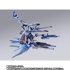 Tamashii Nation2023 METALBUILD Freedom Gundam CONCEPT2 SNOW SPARKLE Figure Japan
