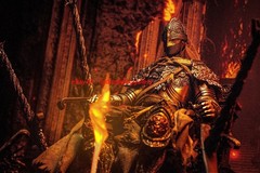 VTS TOYS VM-048B GOLDEN ORDER RAGING WOLF 1/6 Limited Collectible Action Figure