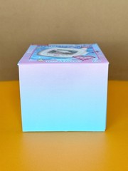 2026 Miniso Sanrio Characters POCKET ELF SERIES Sealed Blind Box PENDANT Box 💖❗
