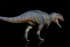 PNSO 1/35 Giganotosaurus 17 Model Prehistoric Dinosaur Animal Figure Gift Toys