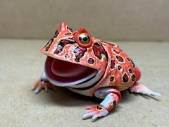 Bandai Capsule toys Creature Encyclopedia Advance Argentine horned frog(Red)