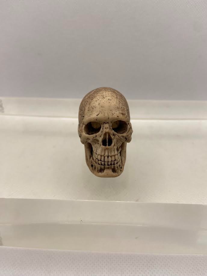 1/6 Scale Cannibal Skull ACI753 for 12 inch Figures ACI Toys