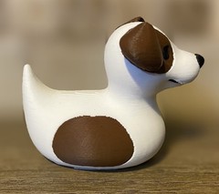 Jack Russell Duck