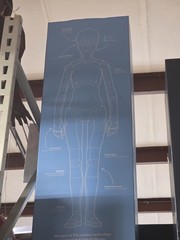 NECA MEGAN M3GAN LIFE SIZE BRAND NEW REAL LIFE 1:1 M3GAN