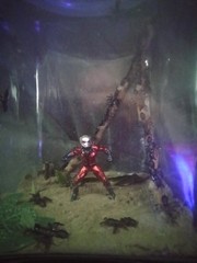 Marvel’s Ant Man Custom, Antman In A Jar.