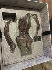 Attack on Titan Colossus Titan Statue Takayuki Takeya Good Smile Limited 500