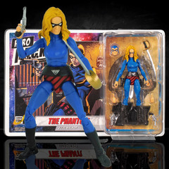 The Phantom Julie Walker Hero H.A.C.K.S. 17th Phantom Series Action Figure