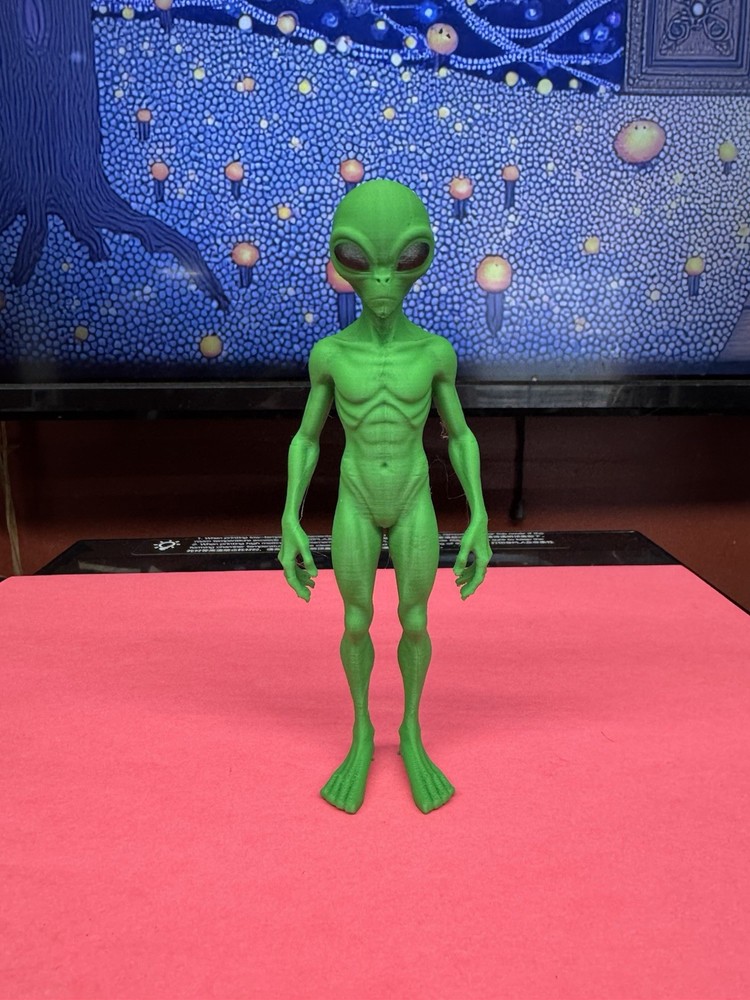 Alien Action Figure! 5” Tall! NEW SPECIES!!!