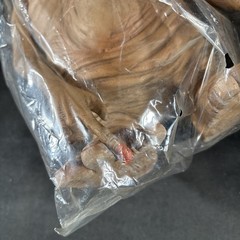 E.T. ALIEN FOAM FIGURE 12″ REEL TOYS NECA HORROR SCI-FI NEW IN PACKAGE