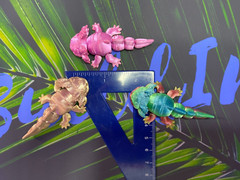 Axo-Love-A-Lot – Articulated 3D Printed Axolotl (Random Colors)