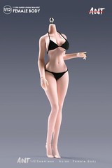1/12 Female Pale Skin Super Large Breast Plump Hip Seamless Body 6”Figure Toys