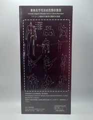 US🇺🇲 – Verycool 1/6 VCD-06A No.6 Silicone Body Large Bust Action Figure NEW