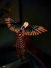 3D Printed 1 Pack Phoenix Animals 14.5” Luminous Articulated Toy Gift