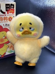 Authentic New Upset Duck Act Cute Duck ” Wanna Sleep Duck” Confirmed
