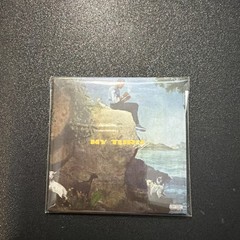 Zuru Mini Brands Vinyl Records Really Works