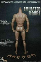 ZC Toys 12″ Muscular Male Action Figure Body Fit 1/6 Scale Hot Toys Head Sculpt