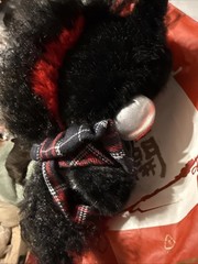POPMART-Have a Good Run Plush Pendant- Confirmed Rising Star – Skullpanda SECRET