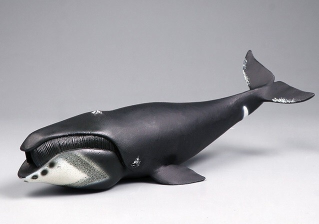 Bowhead Whale Sea Animal Toy PVC Action Figure Doll Kids Toys Party Gifts