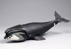 Bowhead Whale Sea Animal Toy PVC Action Figure Doll Kids Toys Party Gifts