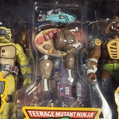 NECA TMNT Teenage Mutant Ninja Turtles Tokka And Rahzar Cartoon 2 Pack Brand New