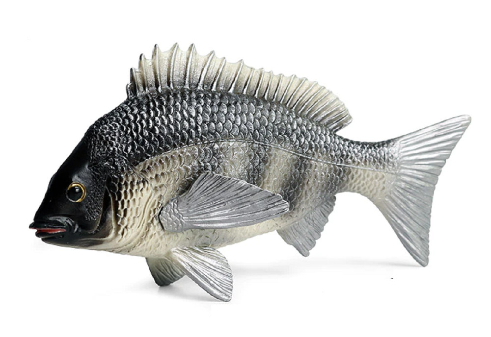 16.5cm Tilapia Fish PVC Toy Ocean Sea Animal Figure Kids Gift