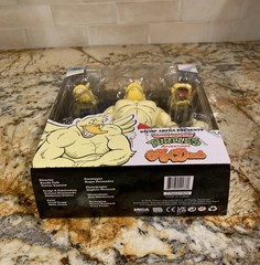 NECA Teenage Mutant Ninja Turtles TMNT Stump Arena Wrestling Ace Duck Figure NEW
