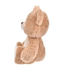 Disney Store Max’s Teddy Bear plush GOOFY BIRTHDAY