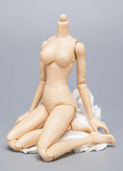 USA 1/6 Female Flexible Pale Woman Body 12” Thin Anime Action Figure Model Toys