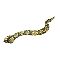 Odyssey Toys Anaconda Mouse Bundle Pack
