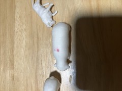 Unbranded Plastic Animals Lot Of 5 Vintage Varies Sizes